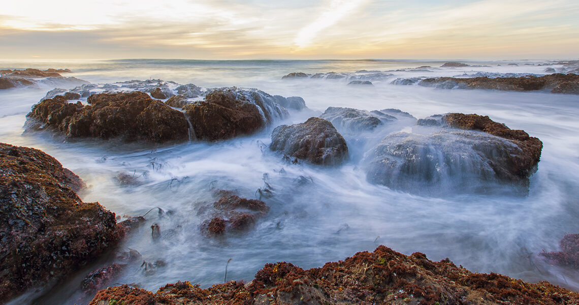 Bean Hollow State Beach San Mateo County, California